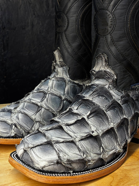 Exotic Fish 'Mocking Bird'