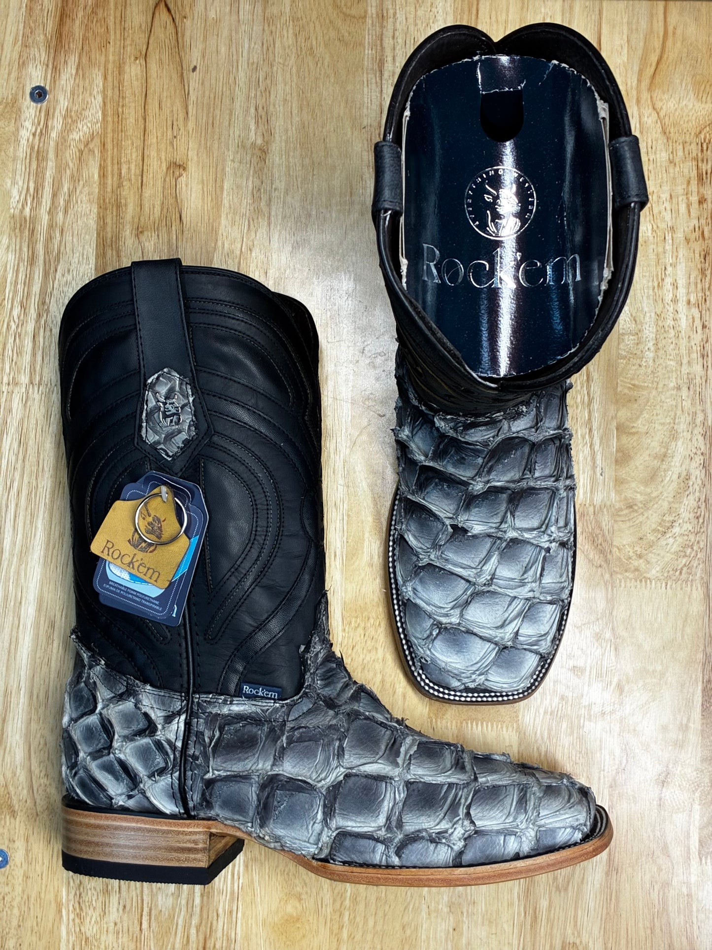 Exotic Fish 'Mocking Bird'