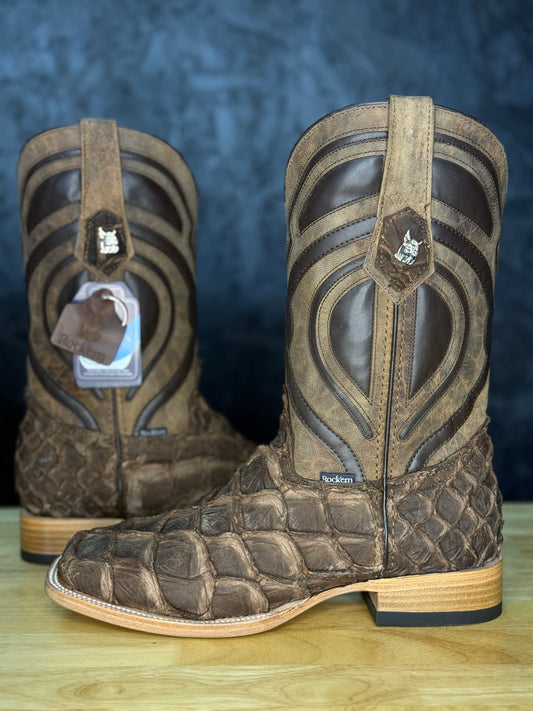 Exotic Fish ‘Cigar’