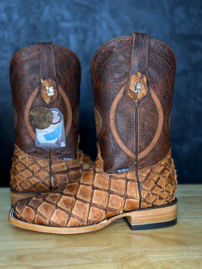 Exotic Fish ‘Pecan’