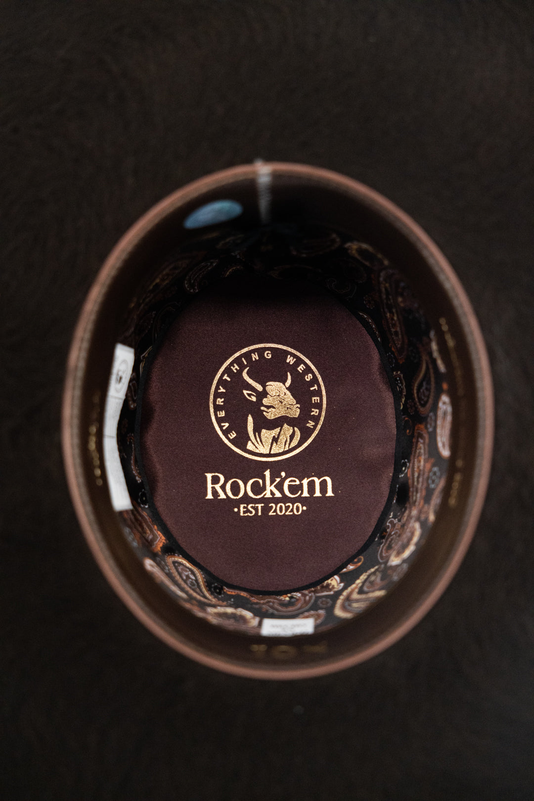 Chocolate Grizzly | 10x Open Crown Felt