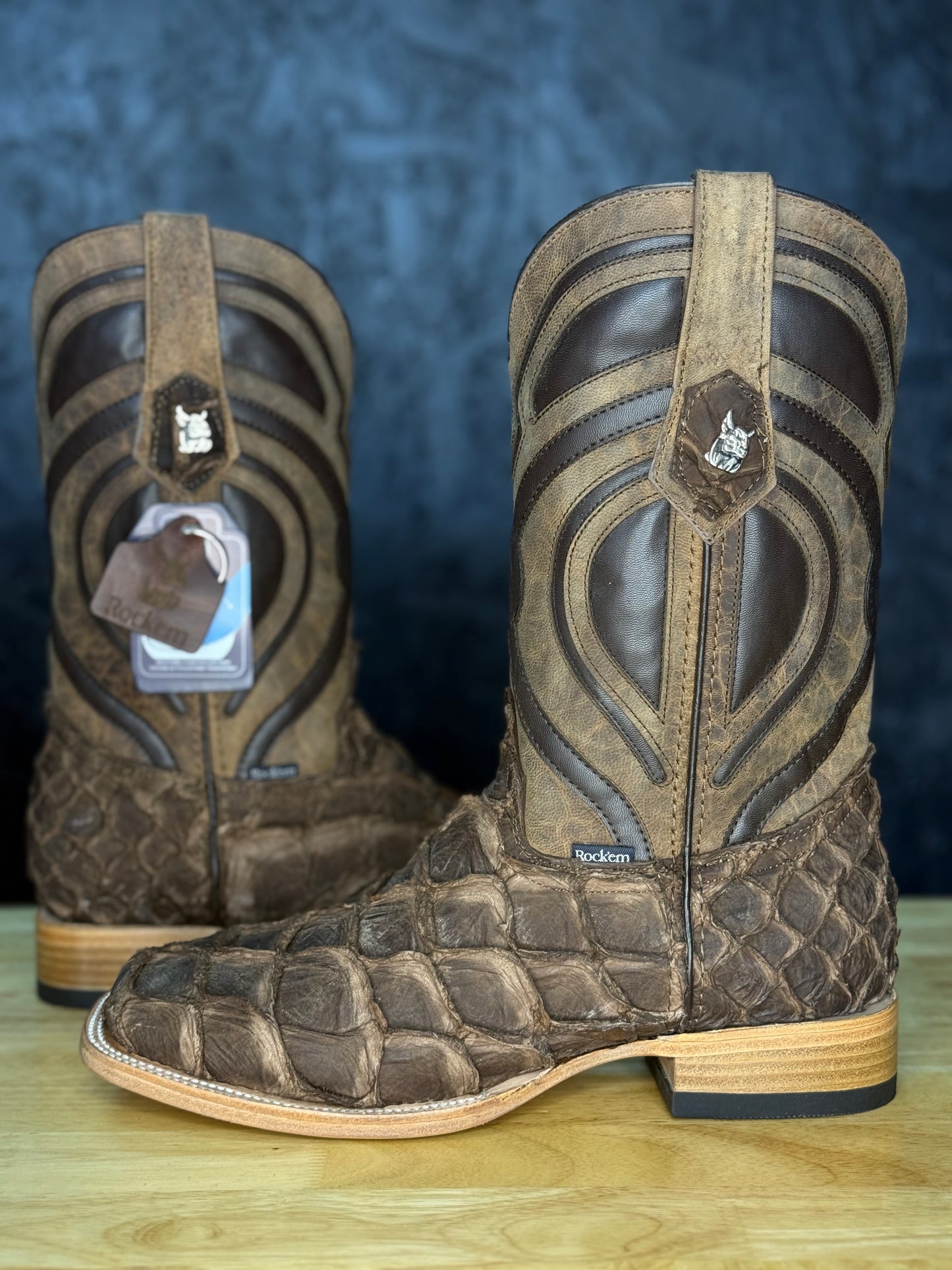 Exotic Fish ‘Cigar’