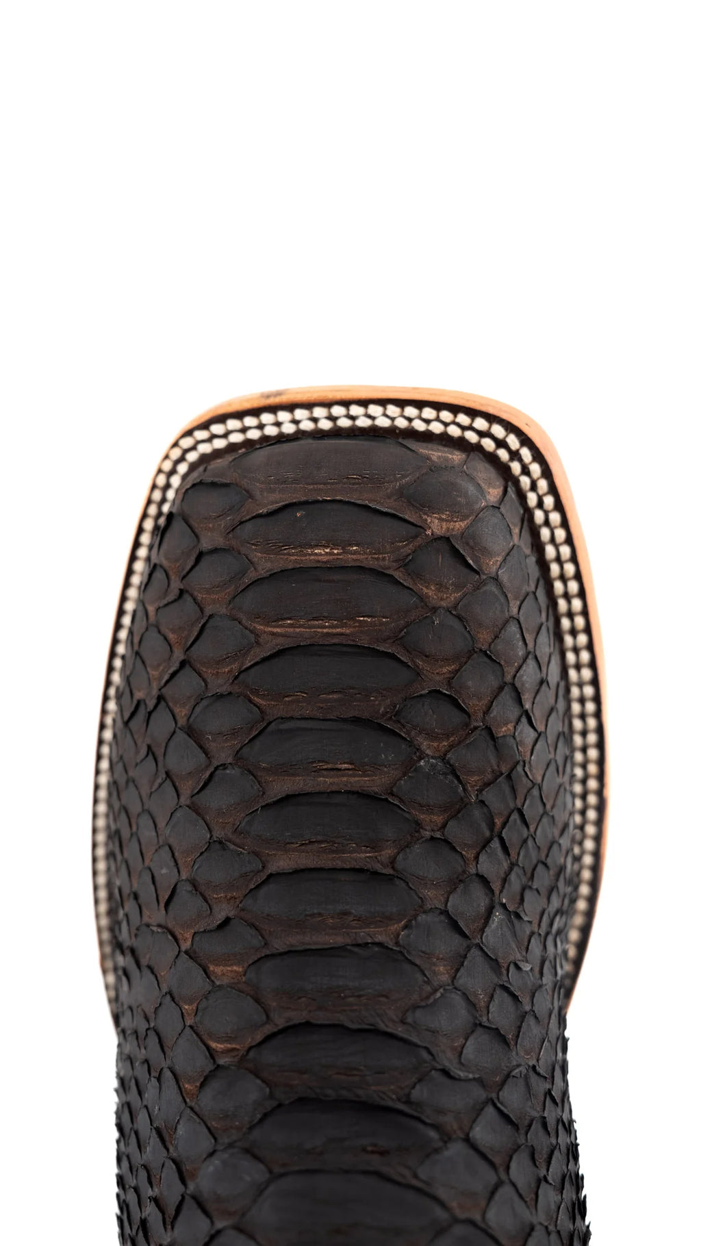 Brown Viper | Exotic Python