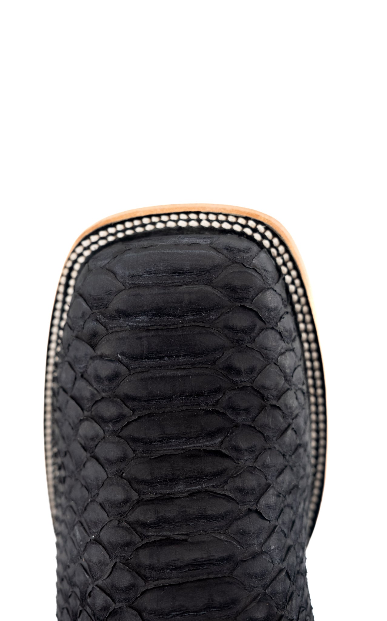 Black Mamba | Exotic Python