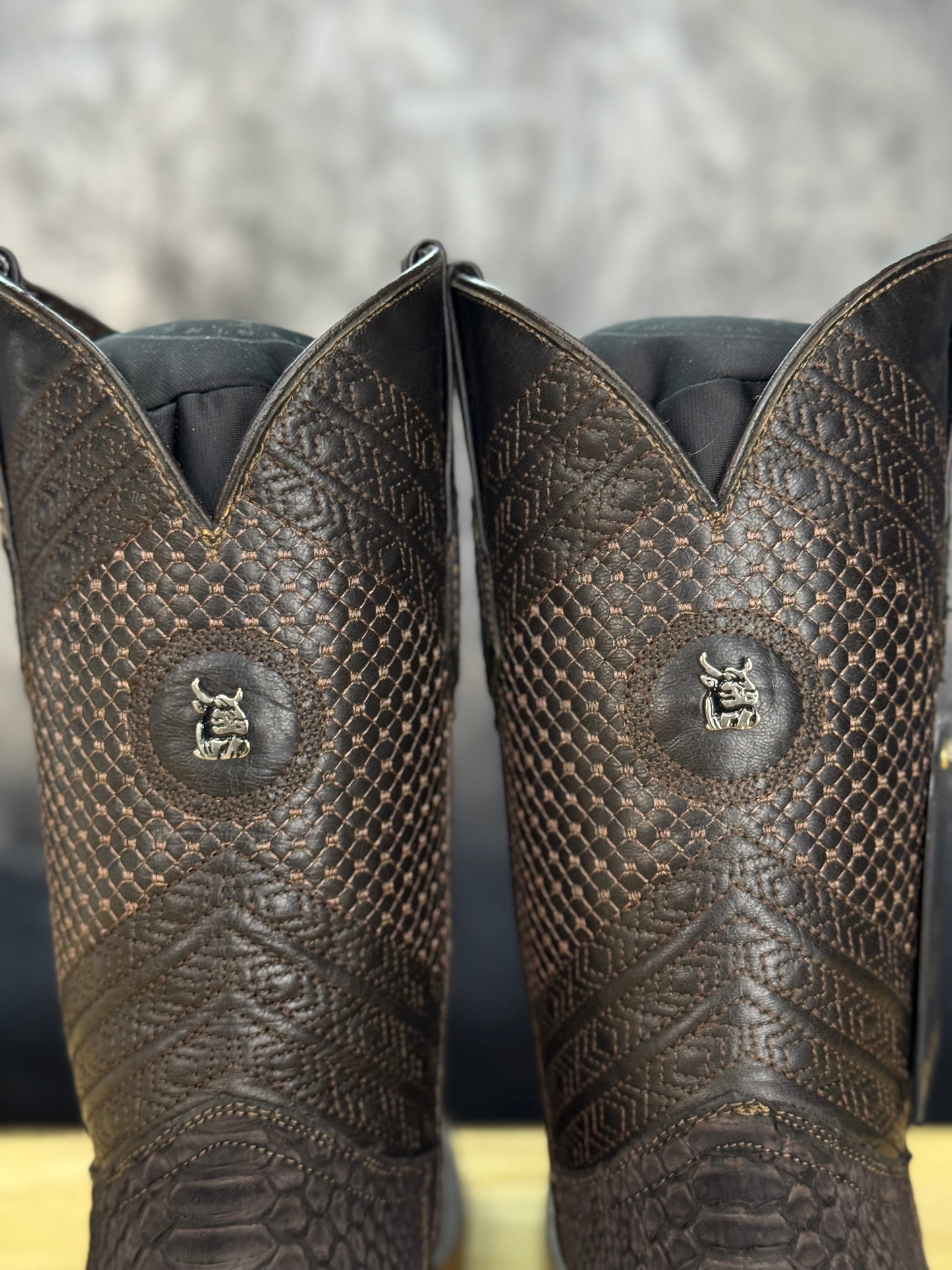 Exotic ‘Brown Viper’ Python