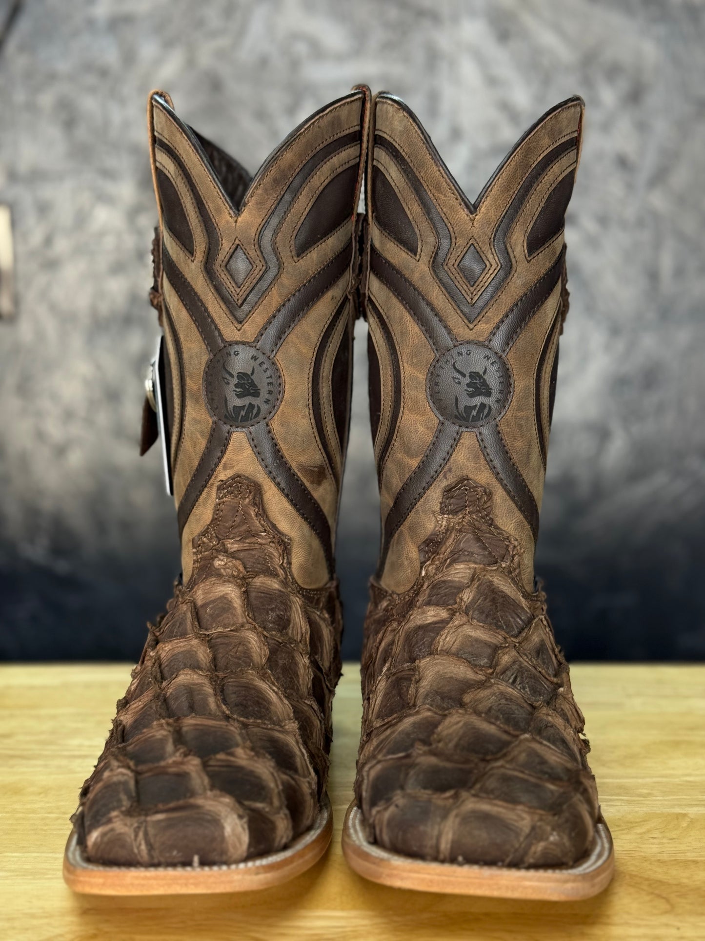 Exotic Fish ‘Cigar’