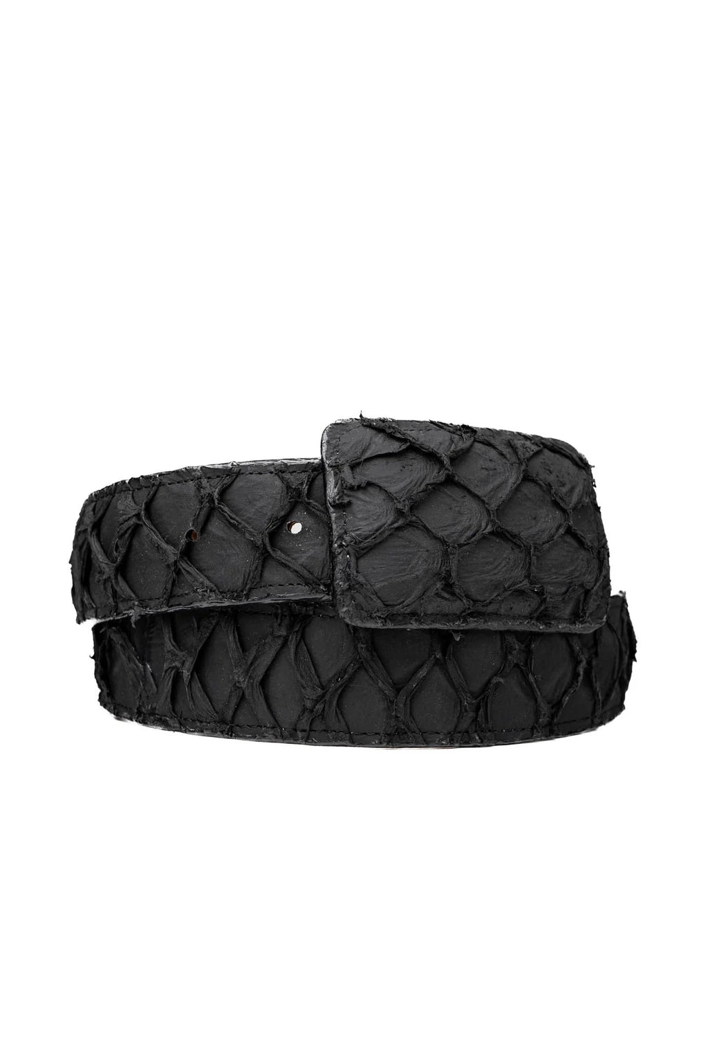 Exotic Fish Belt