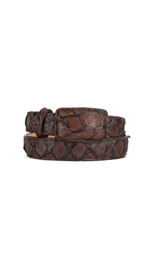 Exotic Fish Belt