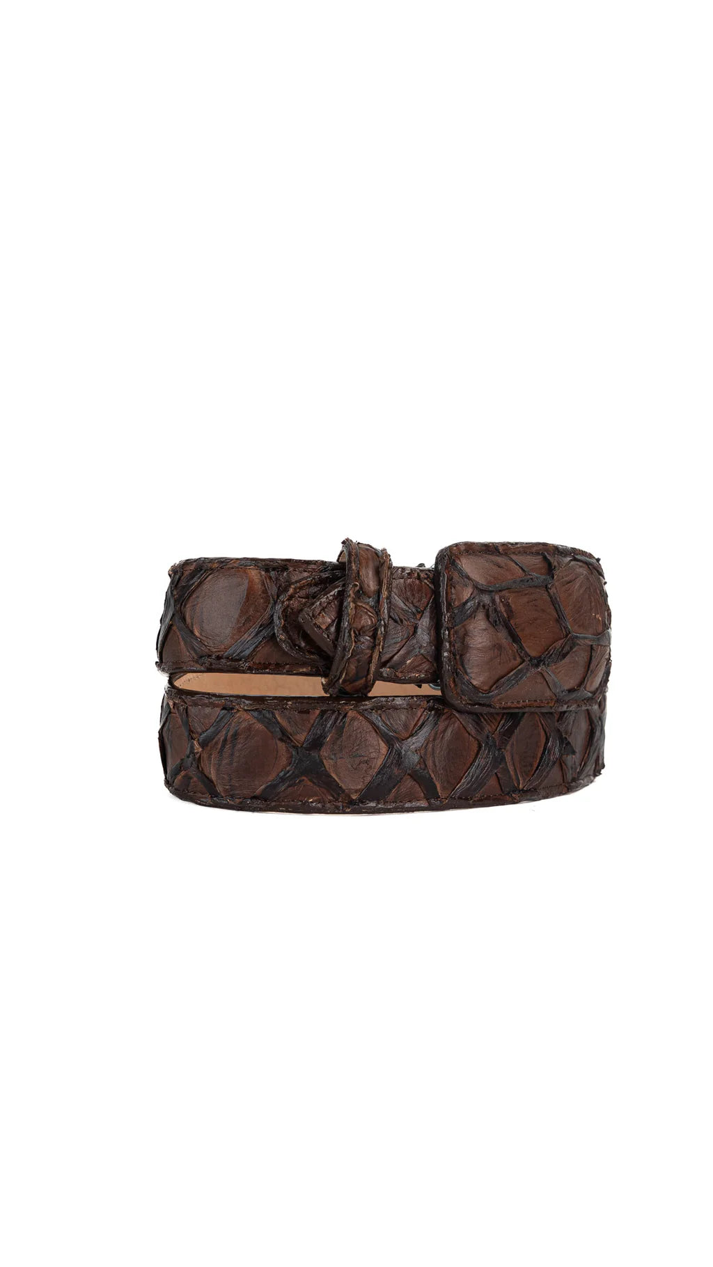 Exotic Fish Belt