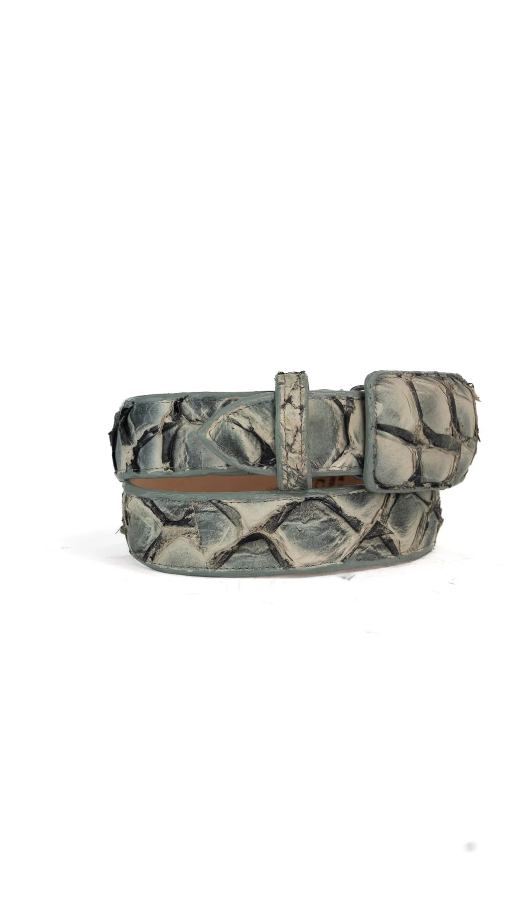 Exotic Fish Belt