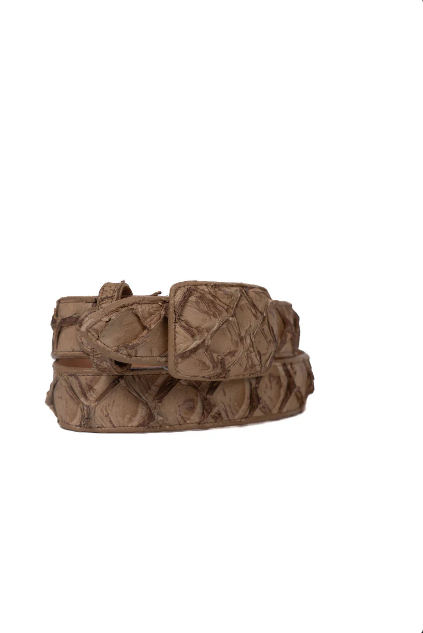 Exotic Fish Belt