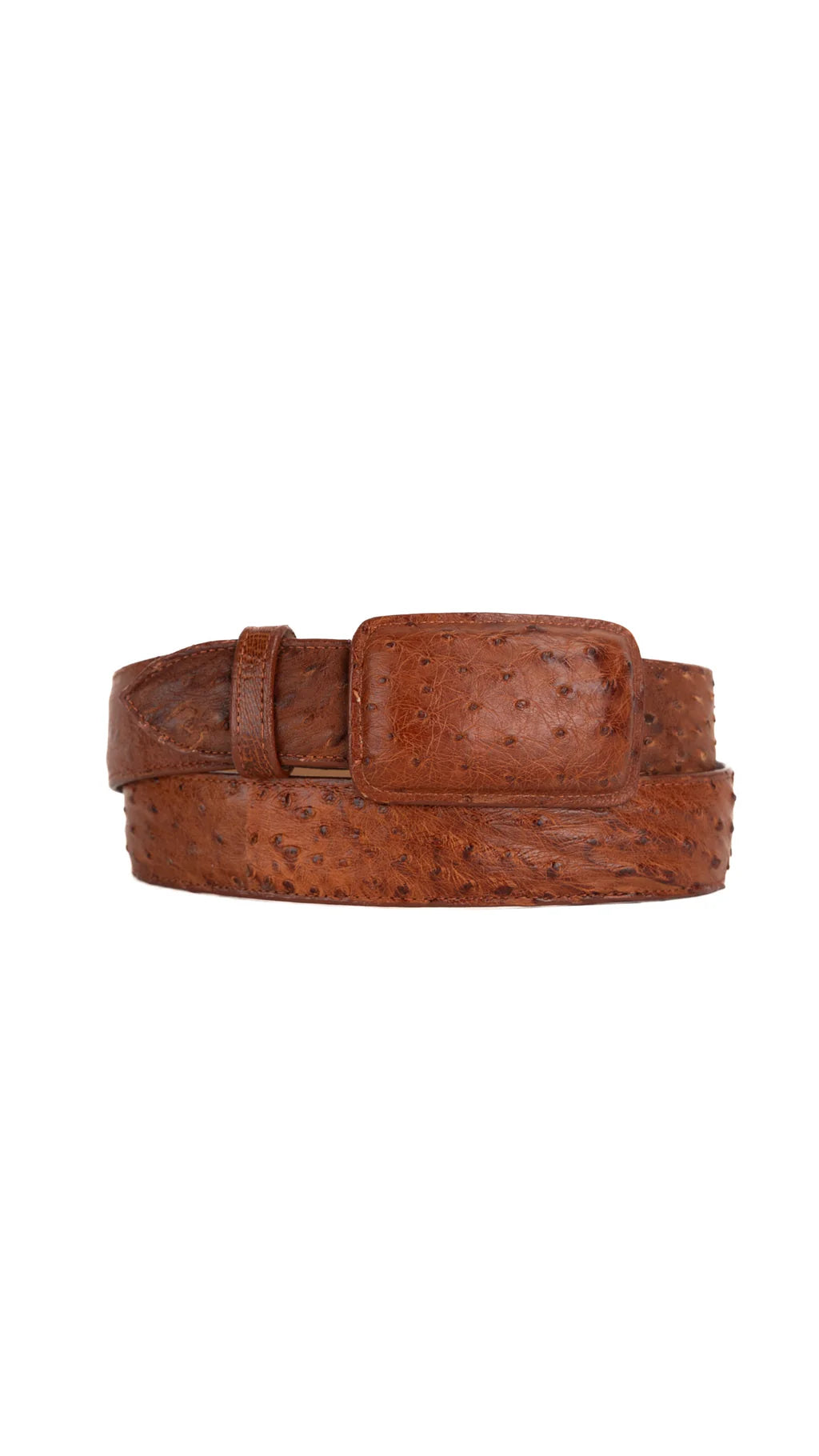 Exotic Ostrich Belt