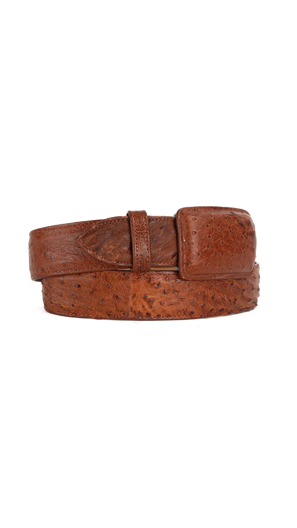 Exotic Ostrich Belt