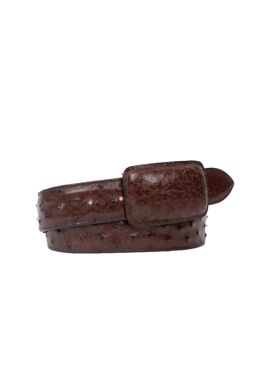 Exotic Ostrich Belt