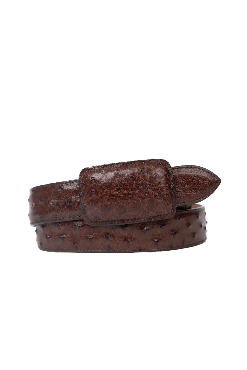 Exotic Ostrich Belt