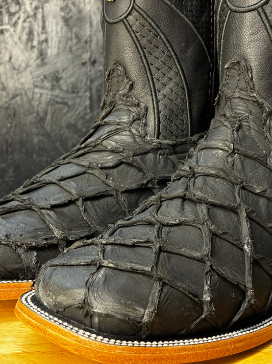 Exotic Fish 'Obsidian Outlaw'