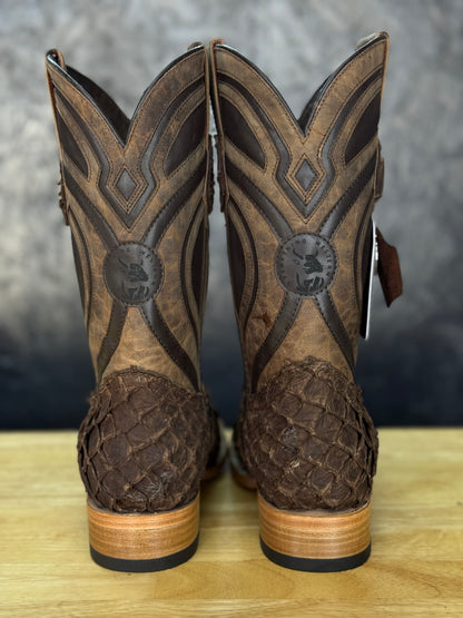 Exotic Fish ‘Cigar’