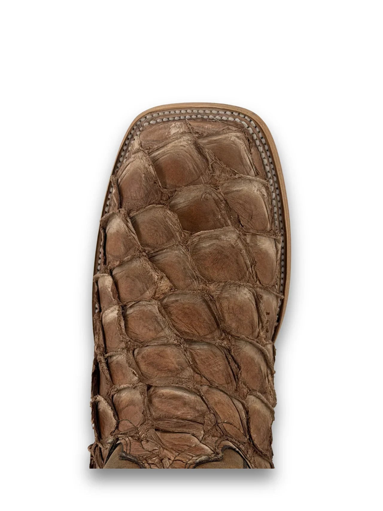 Close-up of genuine pirarucu armor scales in pecan