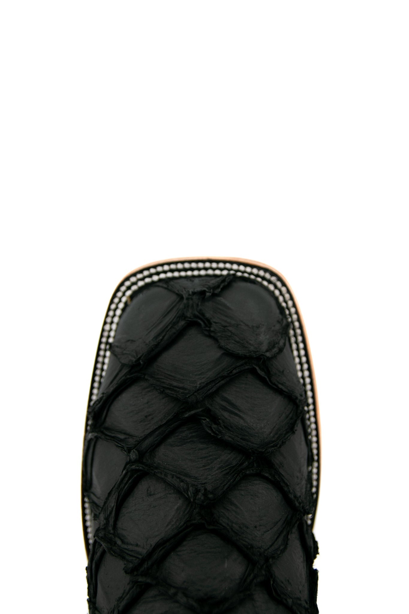 Obsidian Outlaw | Exotic Pirarucu Fish