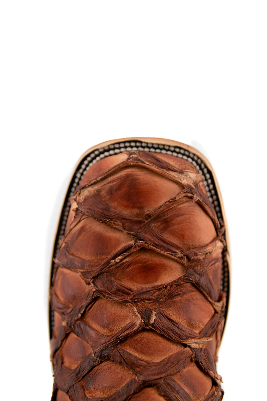 Pecan | Exotic Pirarucu Fish