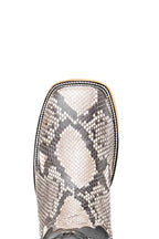 Monroe | Exotic Python