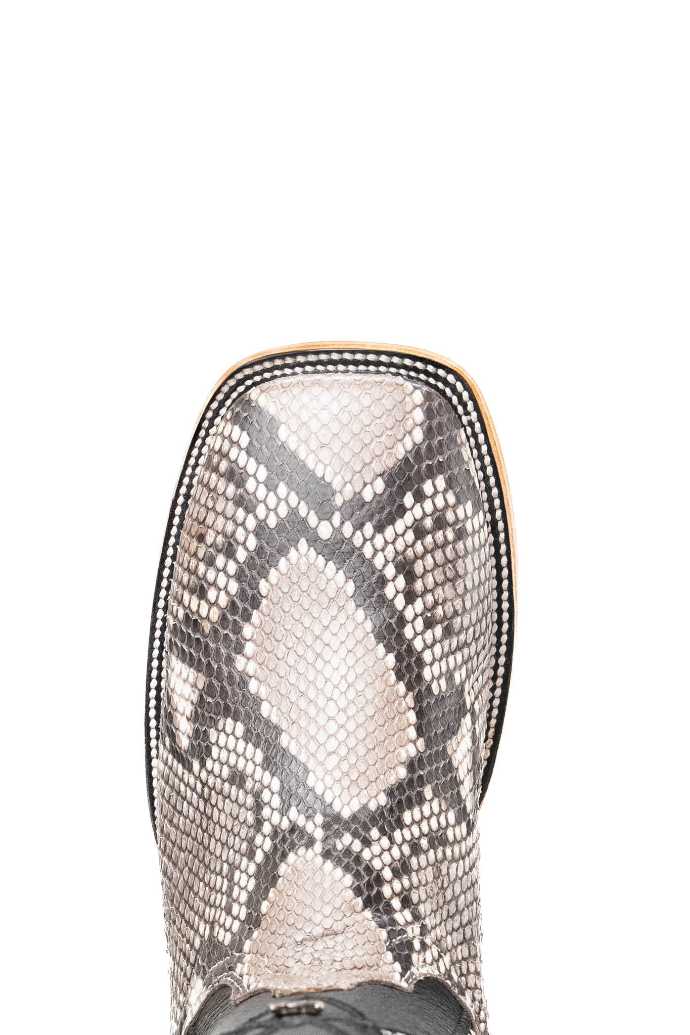 Monroe | Exotic Python Belly