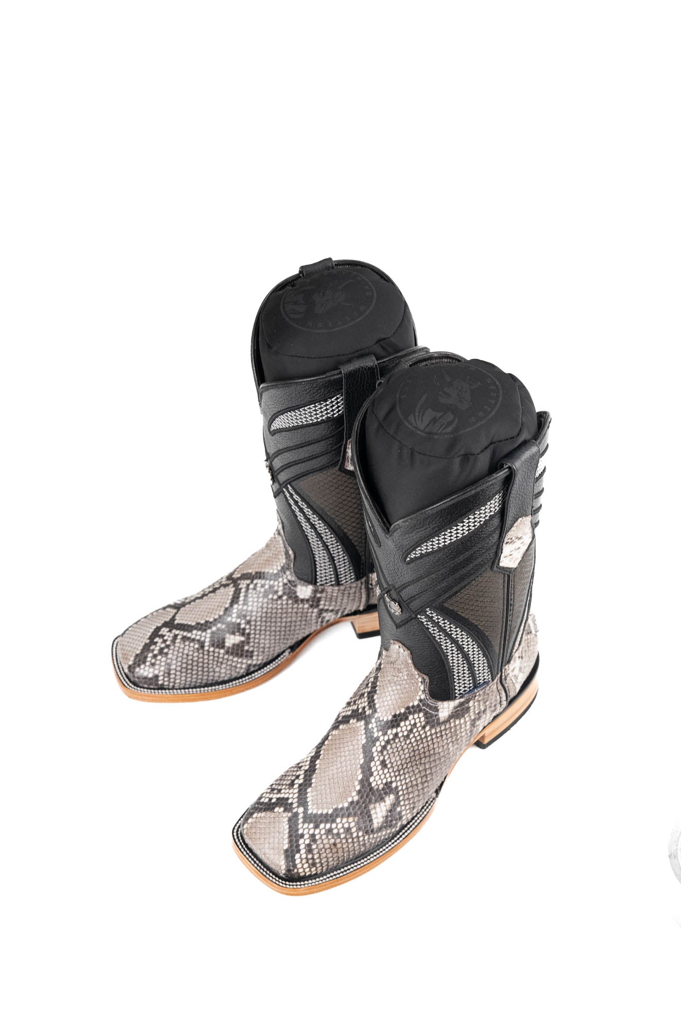 Monroe | Exotic Python