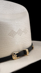 Sinaloa | Straw Hat